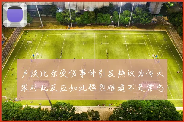 卢谈比尔受伤事件引发热议为何大家对此反应如此强烈难道不是常态吗