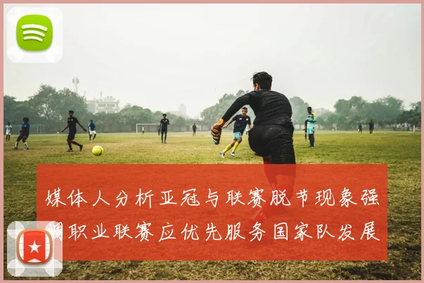 媒体人分析亚冠与联赛脱节现象强调职业联赛应优先服务国家队发展
