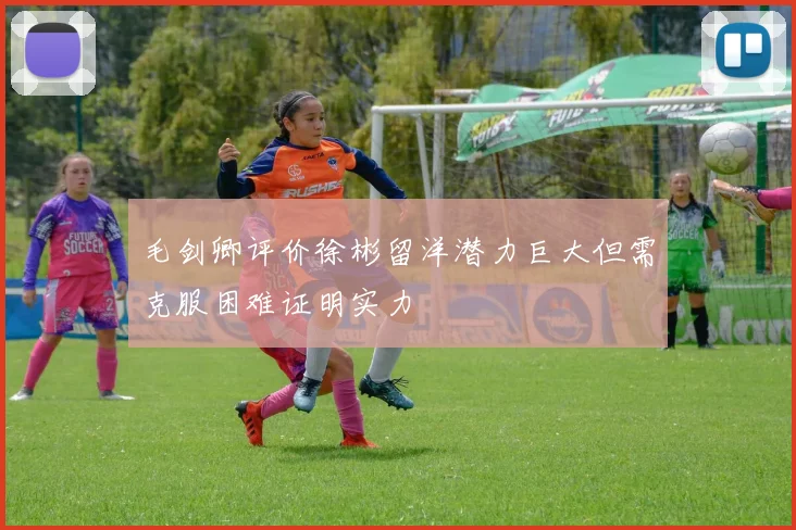 毛剑卿评价徐彬留洋潜力巨大但需克服困难证明实力