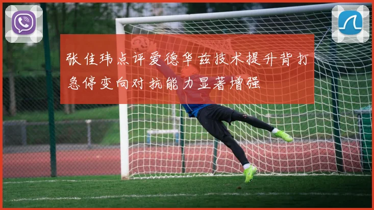 张佳玮点评爱德华兹技术提升背打急停变向对抗能力显著增强