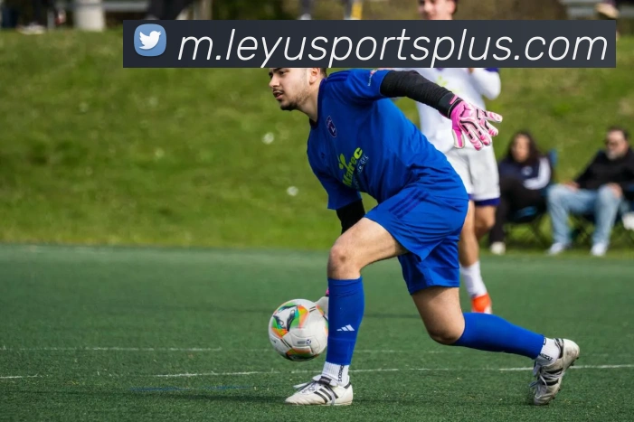 乐鱼体育平台生态图